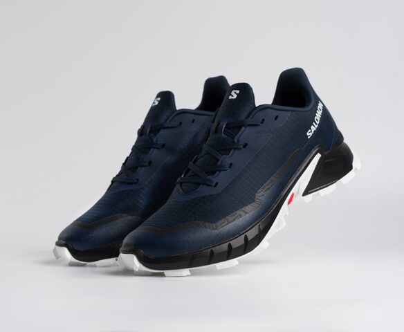 Salomon Alphacross 5 GTX Синие 45208 Salomon Alphacross 5 GTX Синие 45208