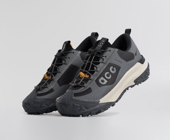Nike ACG Mountain Fly Low Серые 45456